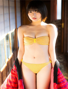 侠探高飞