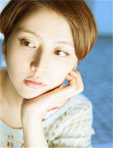施公奇案1