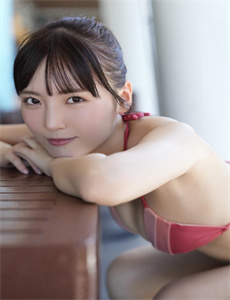 新十二生肖